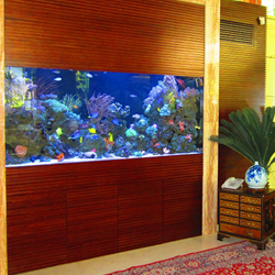 Consult, Design and Build Aquariums